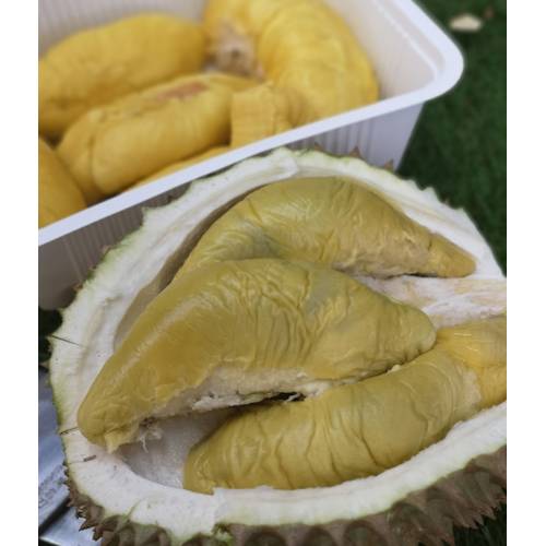 Durian Package