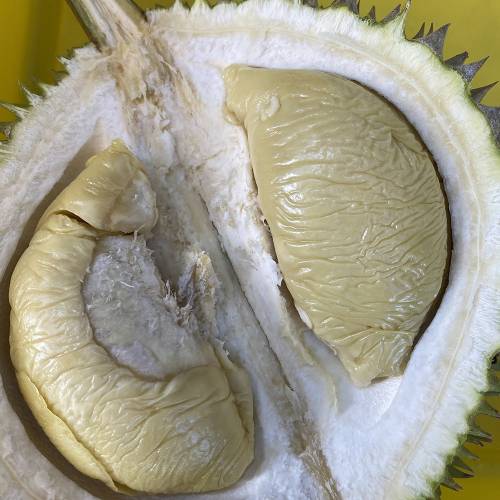 Frozen Durian Package