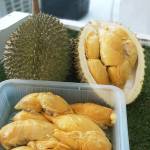 D13 Durian - 750g Dehusked