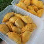 Durian Package