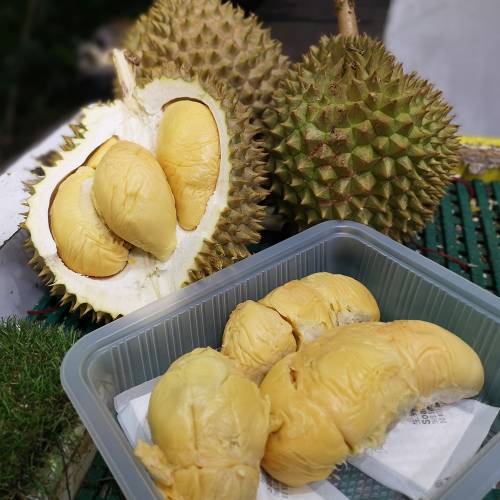 Frozen Durian Package