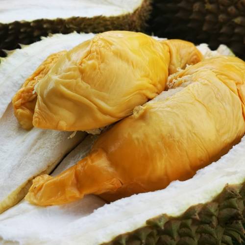 D13 Durian