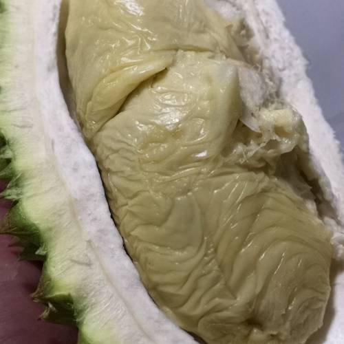 D17 Durian