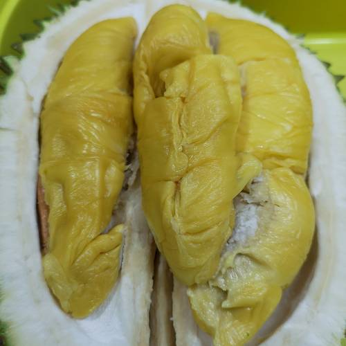 Glutinuous Rice