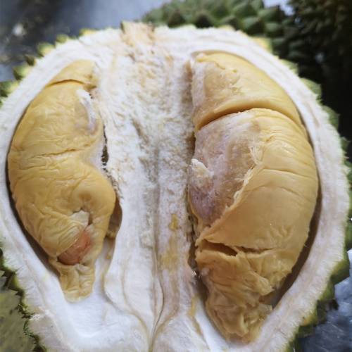 Frozen Durian Package