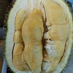 Durian Package