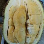 Frozen Durian Package