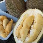 Frozen Durian Package