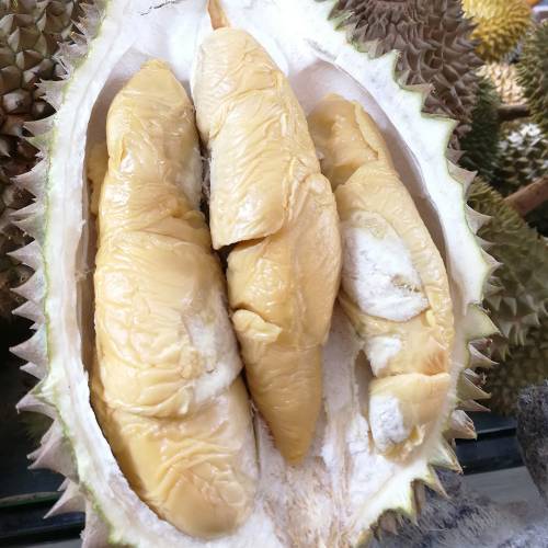 Durian Package