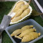 Durian Package