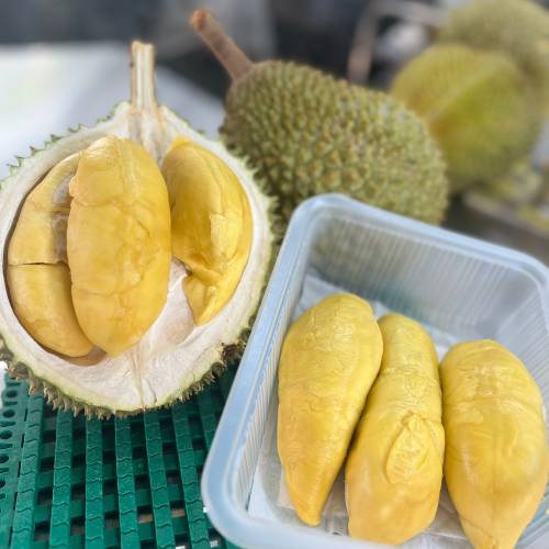 Durian Package